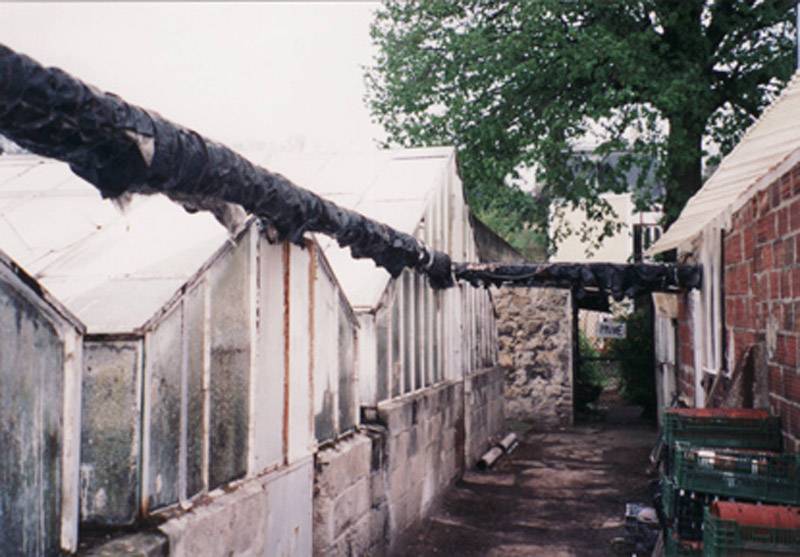 anciennes serres en 1997